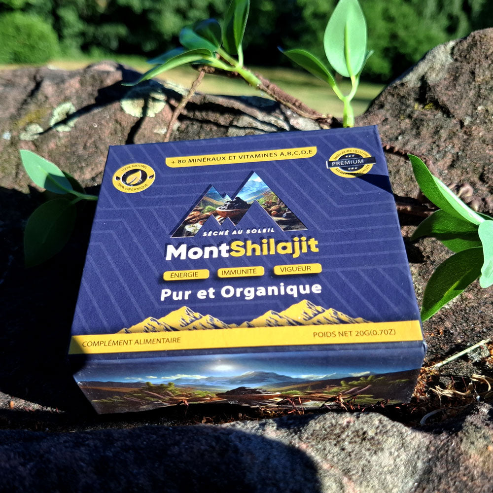 MontShilajit – Résine de Shilajit Bio de l’Himalaya (20g) MontOrigin.