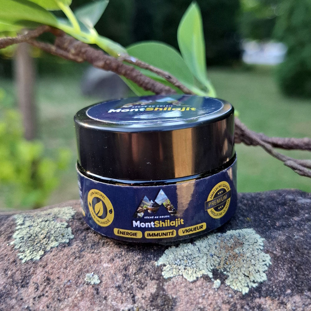 MontShilajit – Résine de Shilajit Bio de l’Himalaya (20g) MontOrigin.