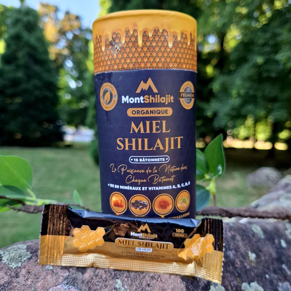 MontShilajit Miel – Résine de Shilajit Bio au Miel avec Safran & Ashwagandha | Shilajit Himalayen 100% Pur (MontOrigin)